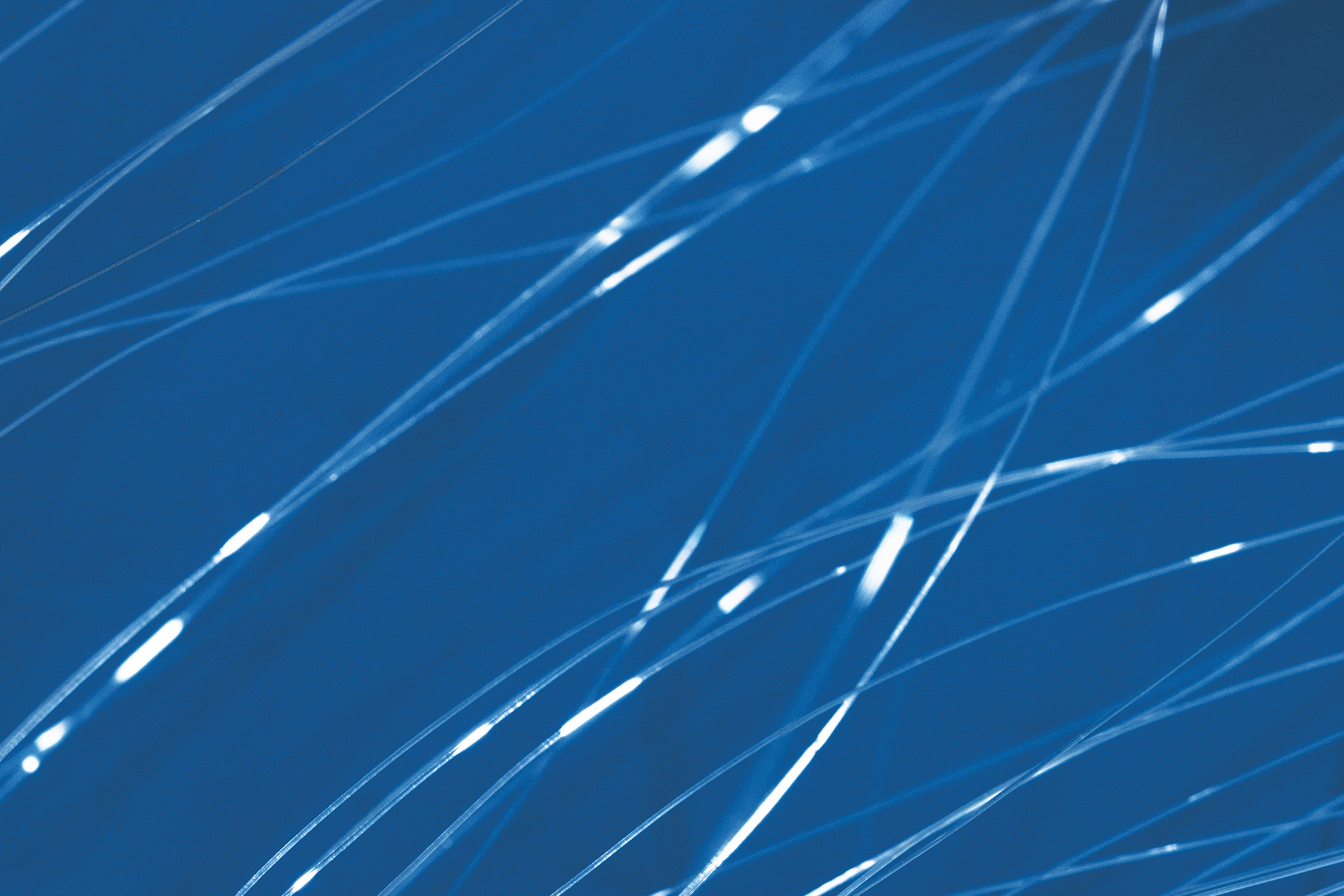 White fibers on a blue background.